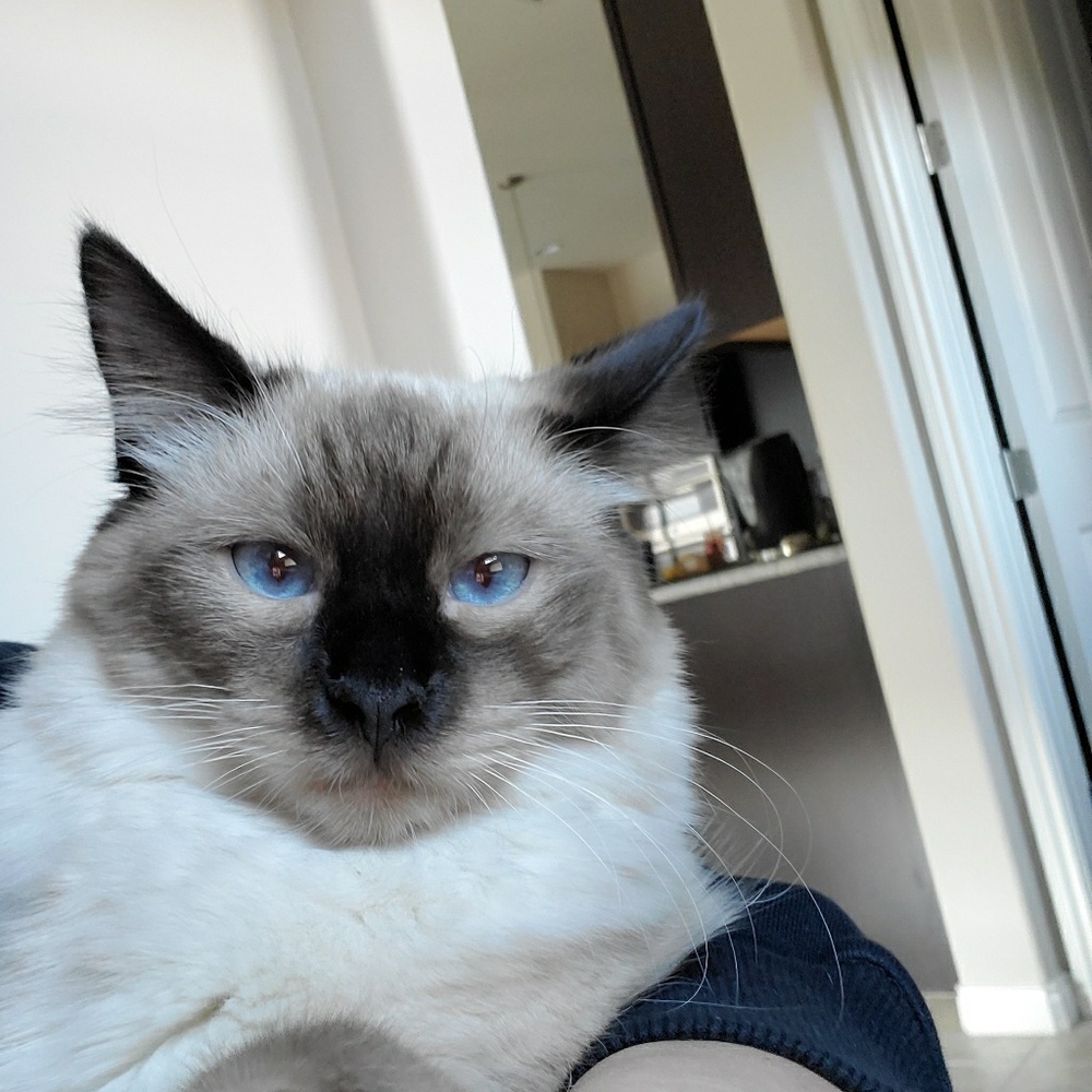 Meet your Posher, Jennifer